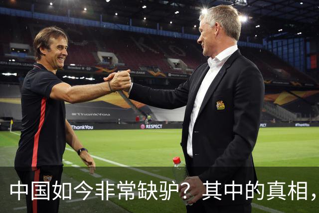 中国如今非常缺驴？其中的真相，比你想象的还要荒诞得多
