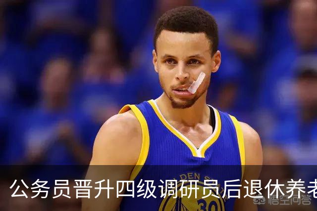 公务员晋升四级调研员后退休养老金大概能多领多少？