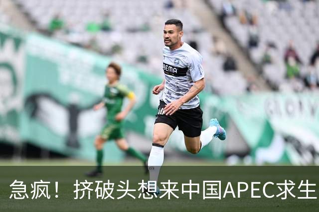 急疯！挤破头想来中国APEC求生，因国内清算打响，高市或锒铛入狱