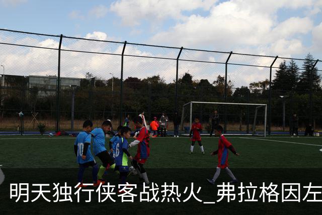 明天独行侠客战热火 弗拉格因左肩扭伤出战成疑