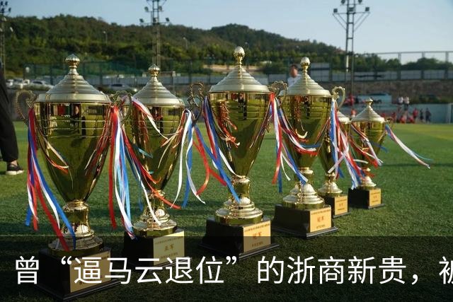 曾“逼马云退位”的浙商新贵，被抓了