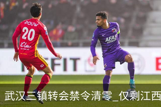 武汉三镇转会禁令清零 仅剩江西庐山还存在转会注册禁令