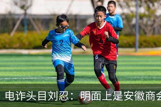 电诈头目刘忍：明面上是安徽商会会长，背地里却坑害无数中国同胞