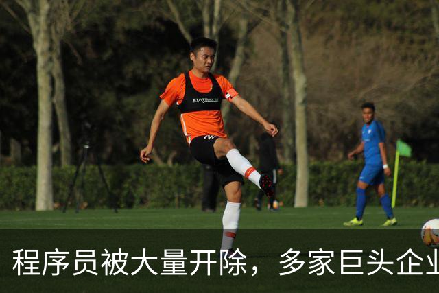 程序员被大量开除，多家巨头企业开启裁员狂潮，AI扩大失业潮