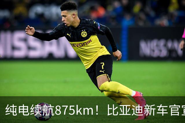 纯电续航875km！比亚迪新车官宣：10月23日即将上市