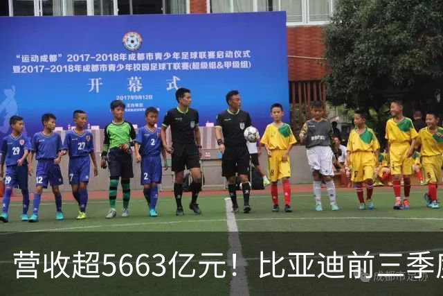 营收超5663亿元！比亚迪前三季度净利润约223.45亿元，海外市场销量同比增长91%