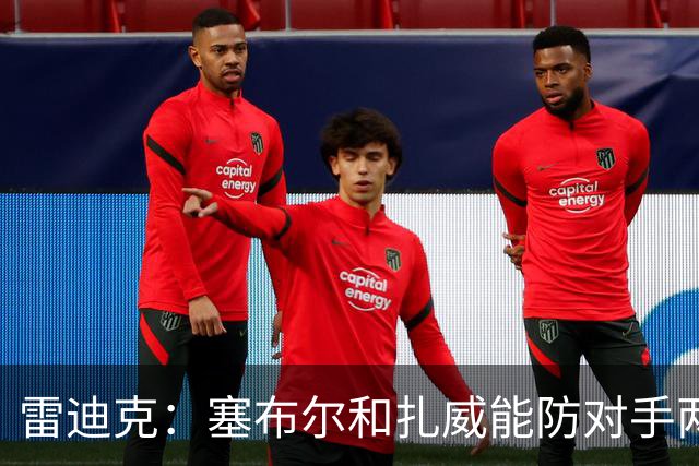 雷迪克：塞布尔&扎威能防对手两大进攻核心 为东契奇&里夫斯减负