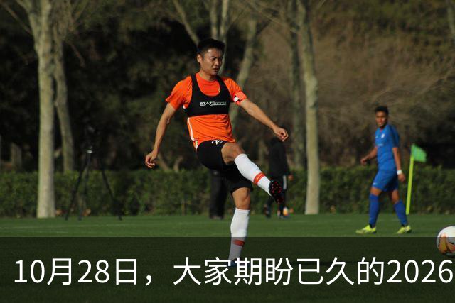 10月28日，大家期盼已久的2026退休养老金，究竟涨还是不涨？