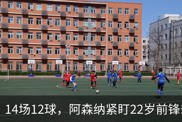 14场12球，阿森纳紧盯22岁前锋却要等到夏天
